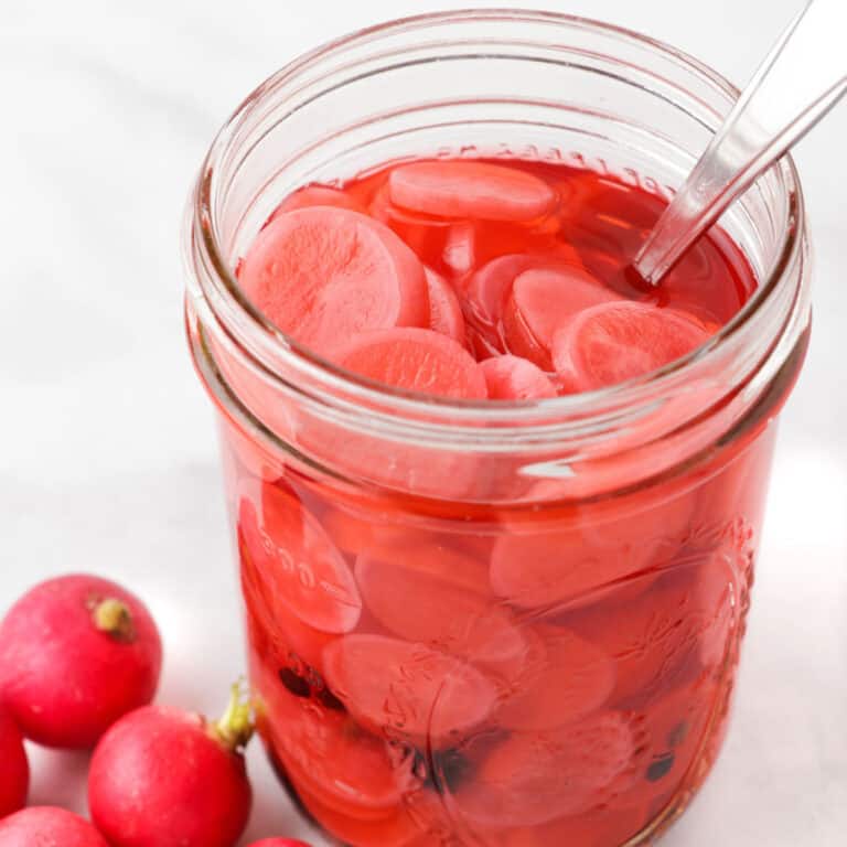 Quick pickled radishes in a jar with vinegar.