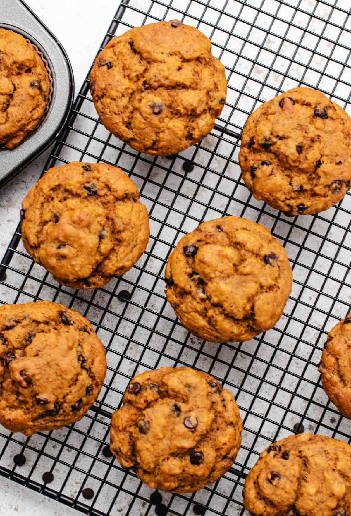 Vegan oil free pumpkin muffins on a cooling rack with chocolate chips.