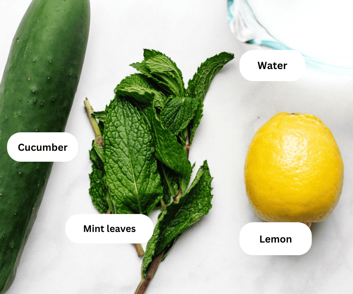 A cucumber, mint leaves, a glass measuring cup of water, and a lemon.