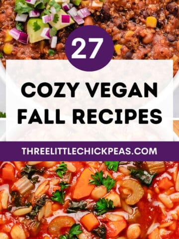 Cozy vegan fall recipes with quinoa chili image and vegetable orzo soup.