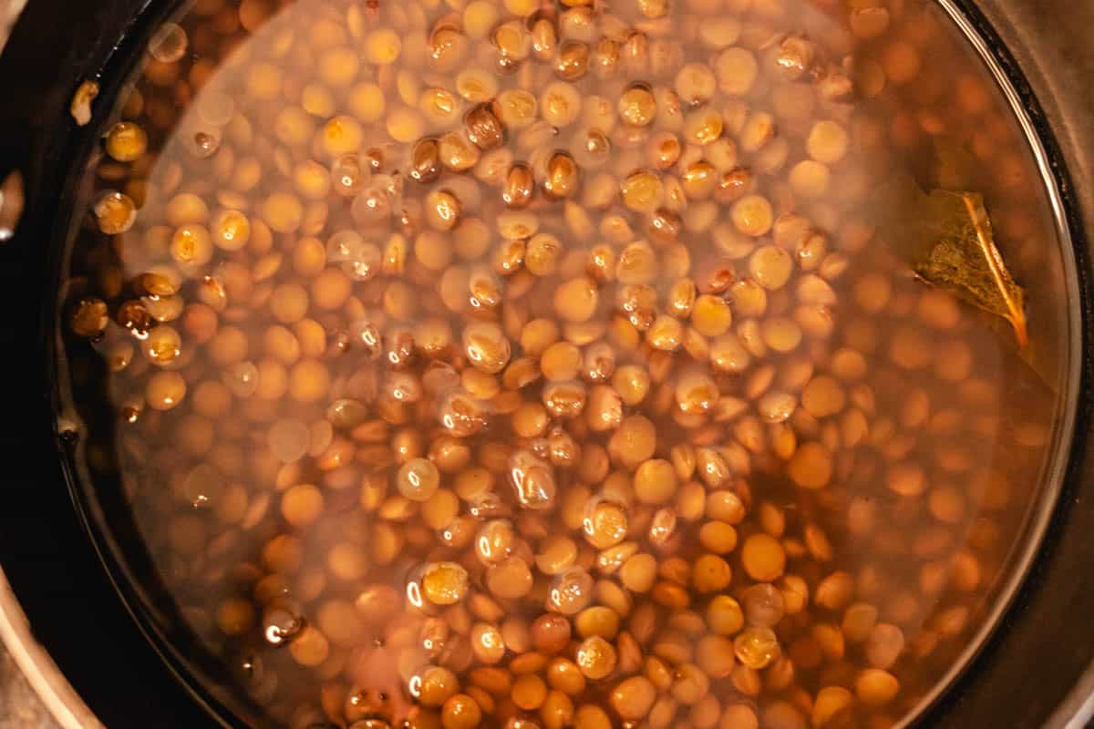 Cooked green lentils in a pot with bay leaves.